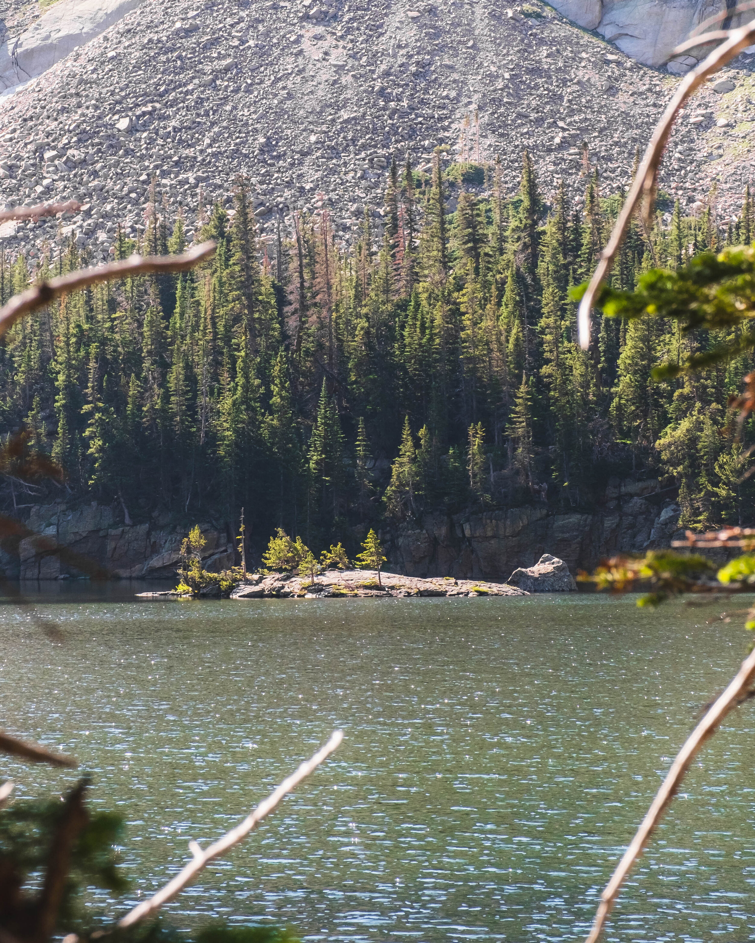 DSCF5721.jpg