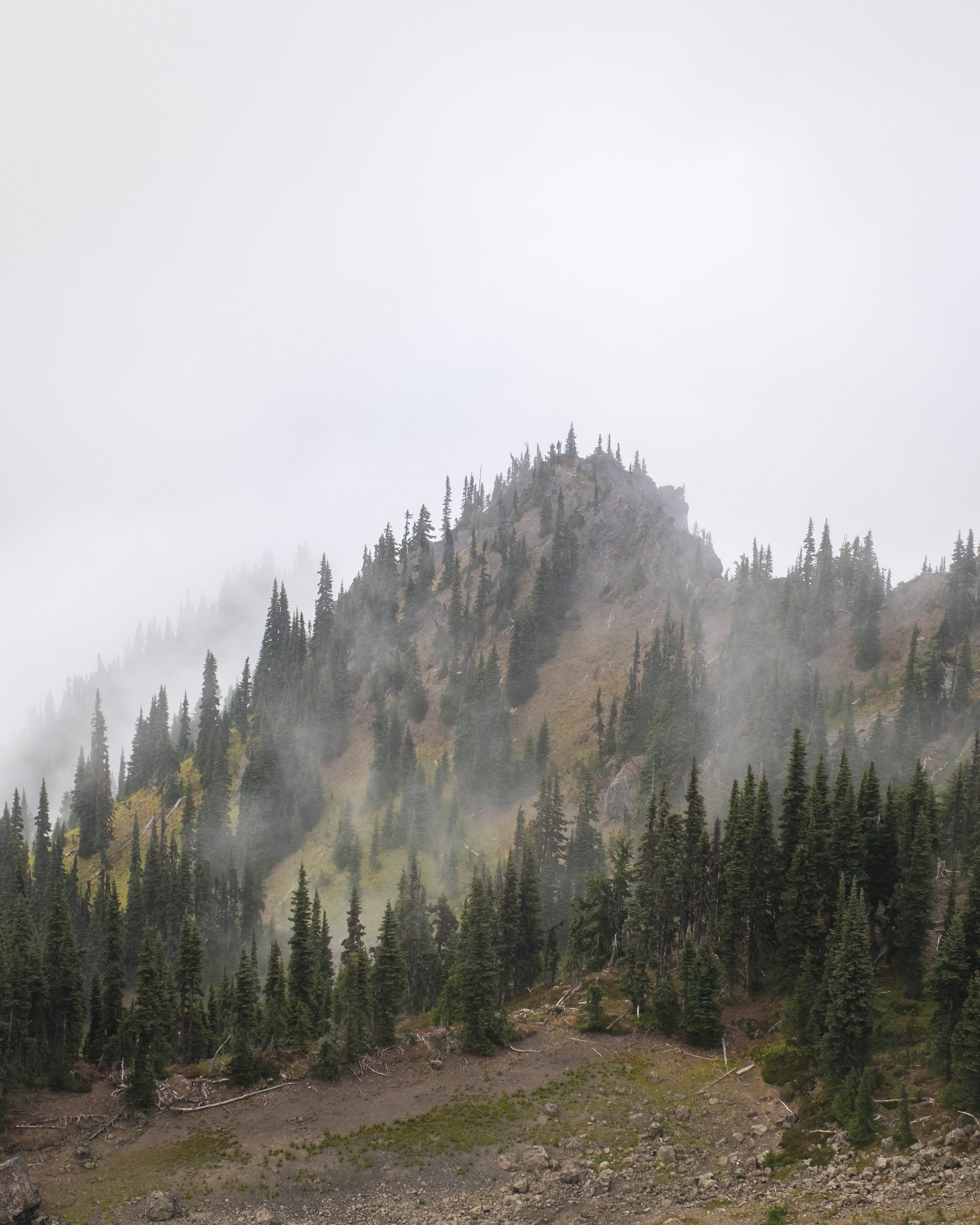 DSCF7271.jpg