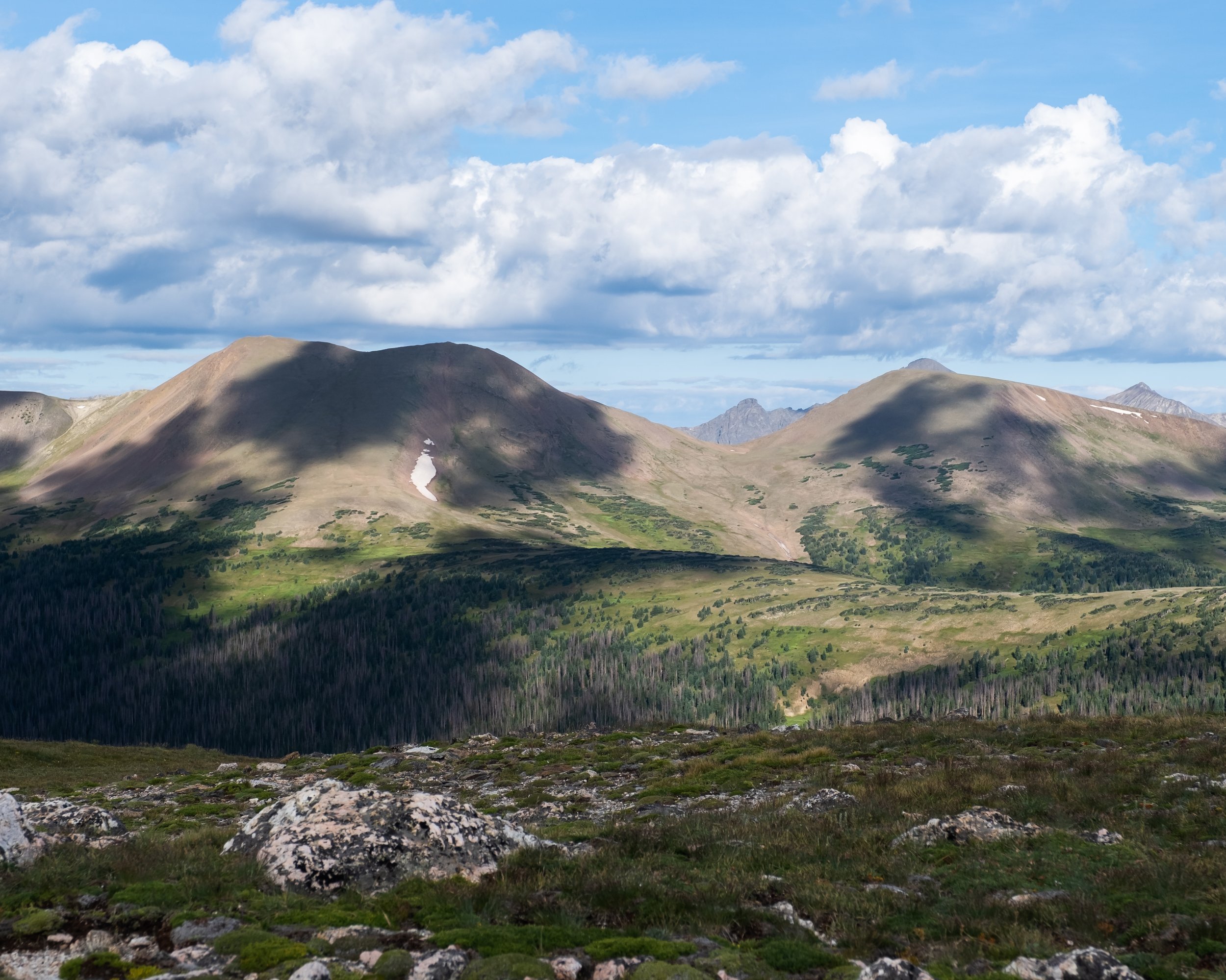 DSCF5588.jpg