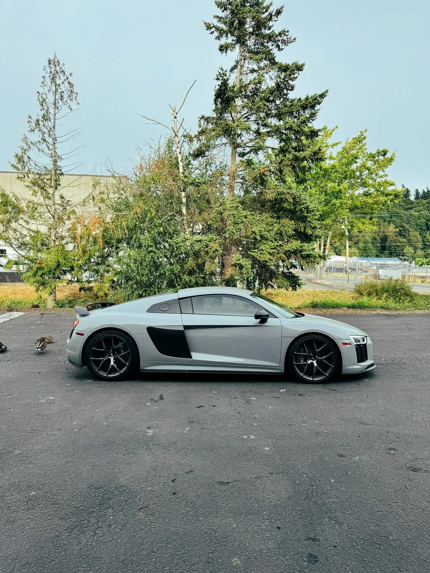 More work on this Audi R8 for @diecast.wrx! Along with the full @inozetek chalk grey vinyl we did @stek.usa DYNOshield PPF over the wrap on the bumper, hood and doors to protect from high velocity rock chips on track days! Install went great and our 