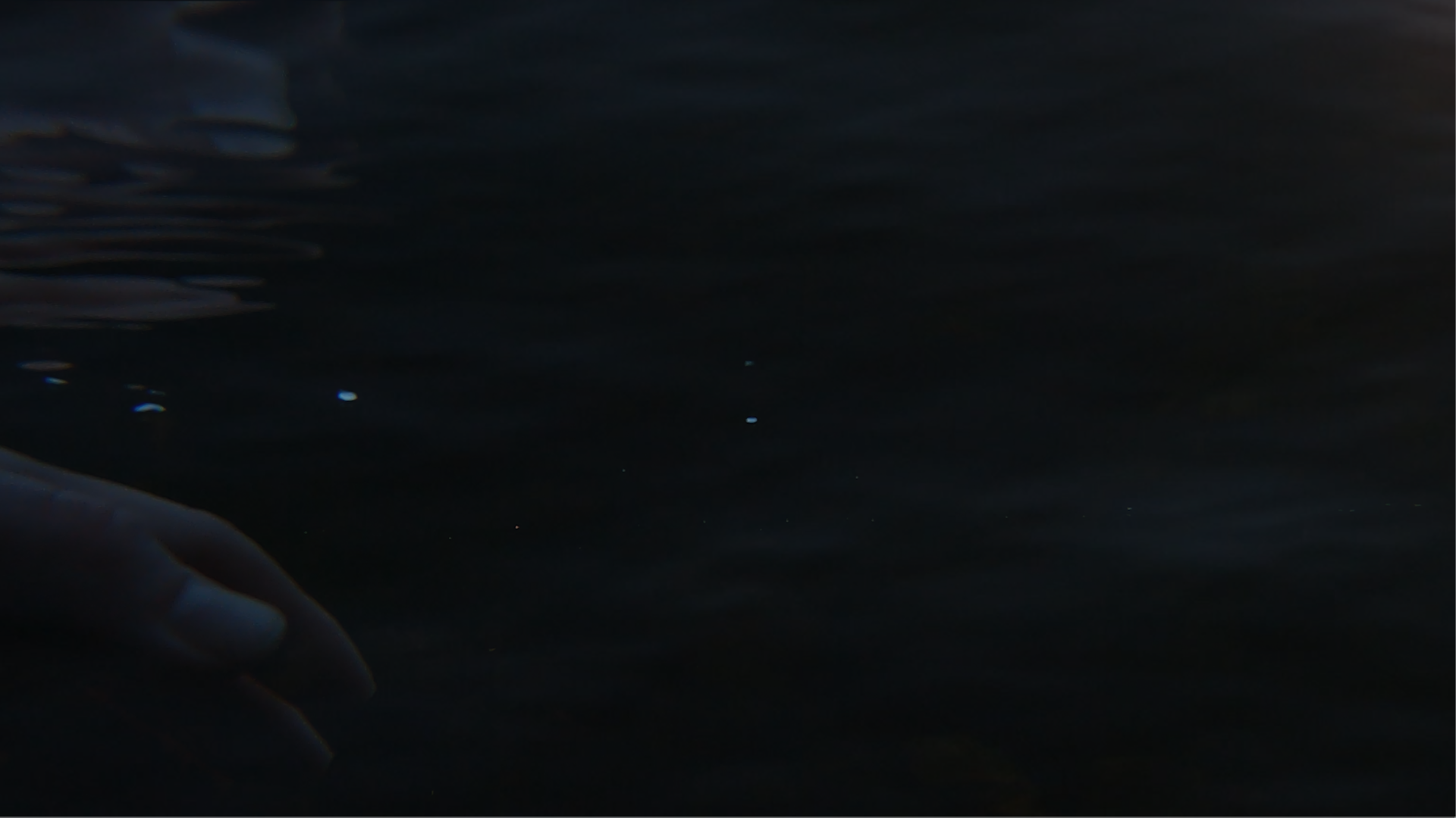 Background vid still.png