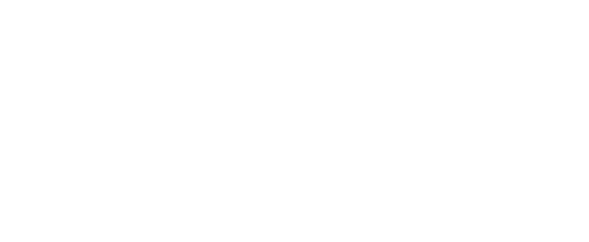 The Wedding Anarchist