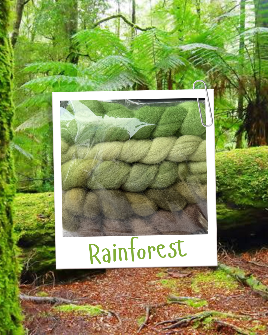 Rainforest.png