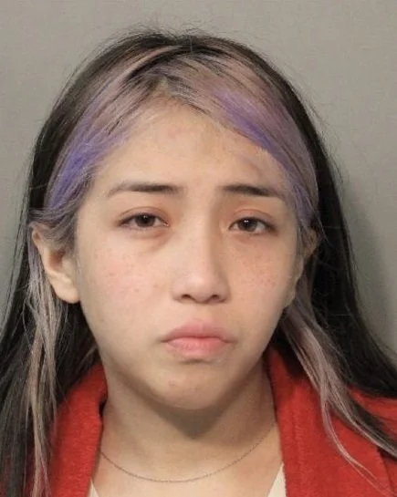 Woman Assaults Detectives With Traffic Cone In Freeport