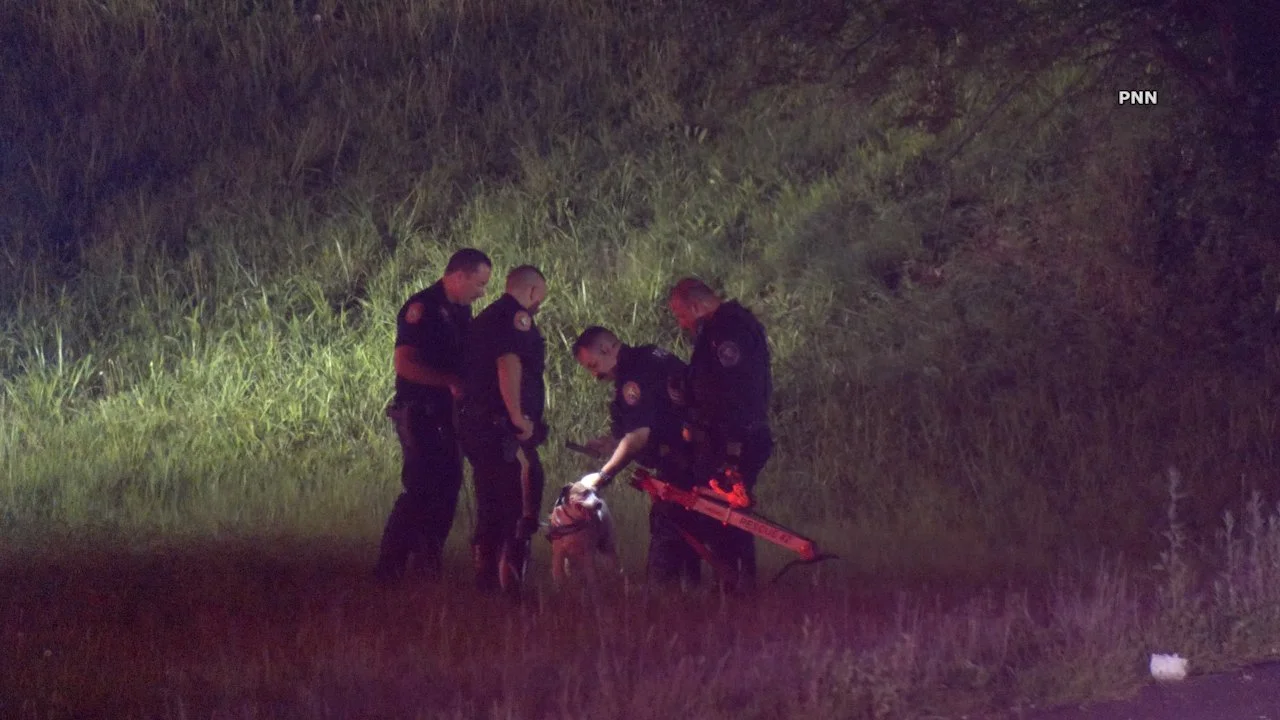 Driver, Dog Rescued From Overturned Vehicle on Seaford-Oyster Bay Expressway