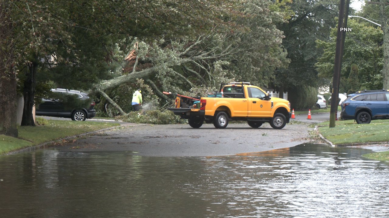 Nor’easter Topples Trees Across Massapequa as Coastal Flooding Inundates Roads