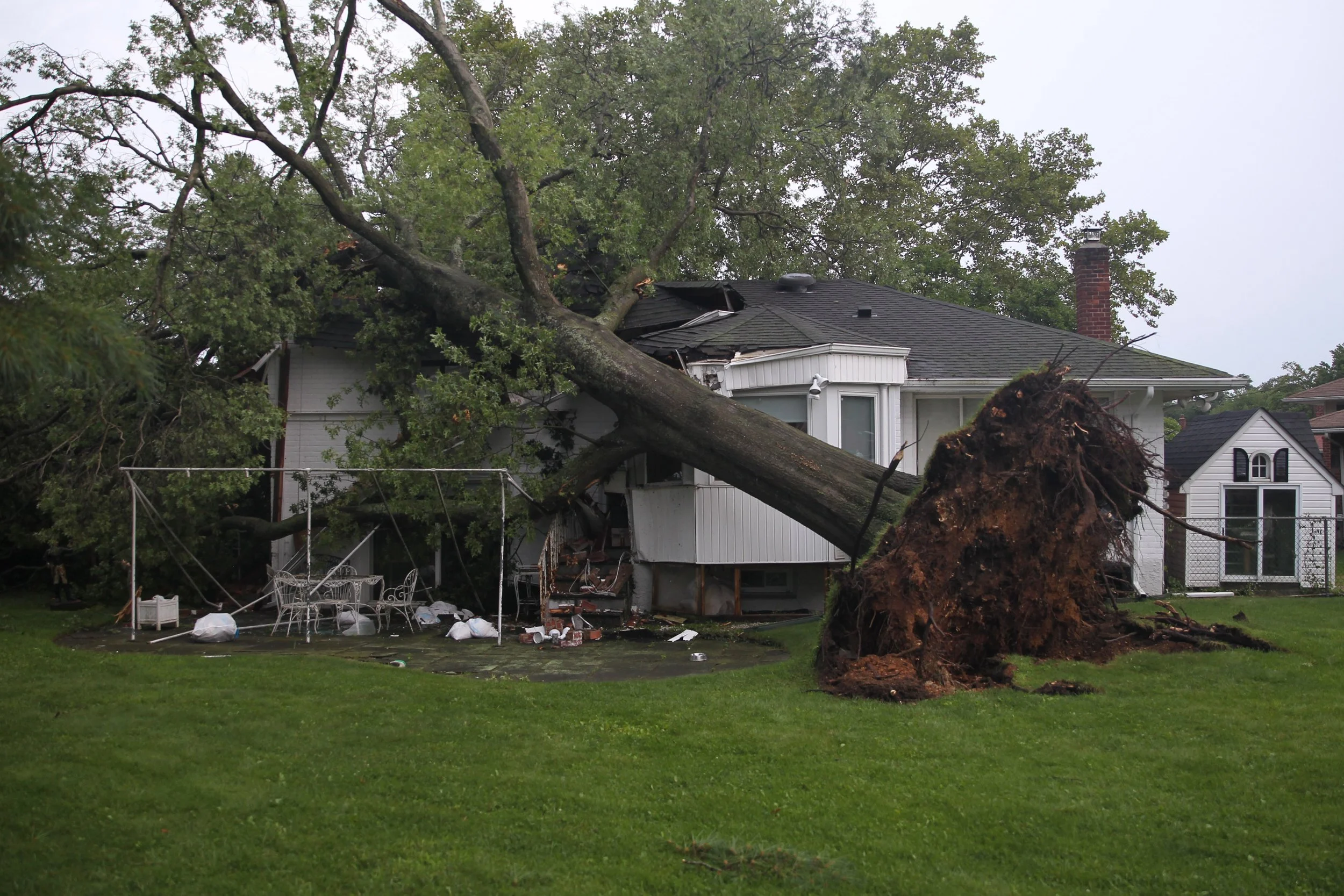 ‘I Just Cheated Death’: Westbury Man Survives Massive Tree Crashing Through Home