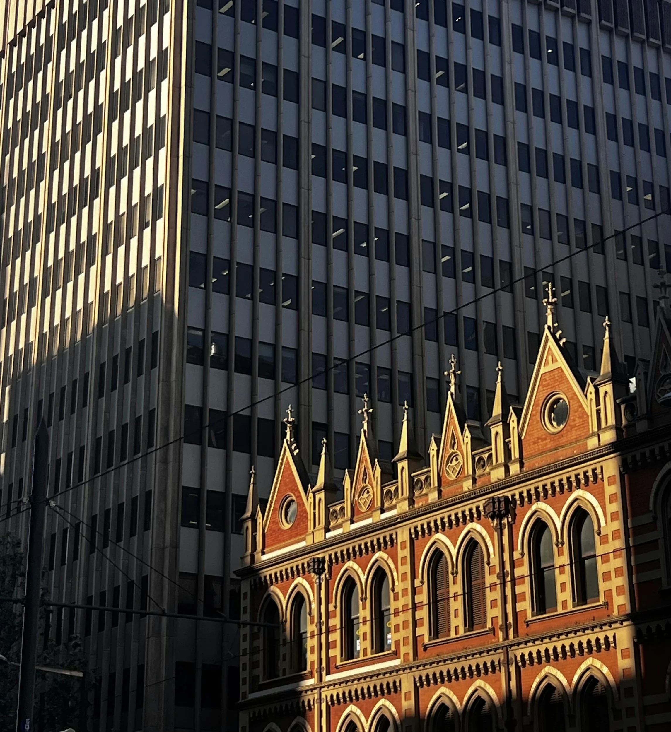 From Rundle Mall to the Zoo: Why Toms Court Hotel Tops the List of Hotels in Central Adelaide