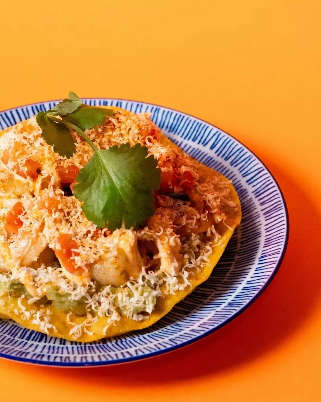 Smoky pasilla prawns, fresh pico, guac and queso piled onto a crunchy tostada.