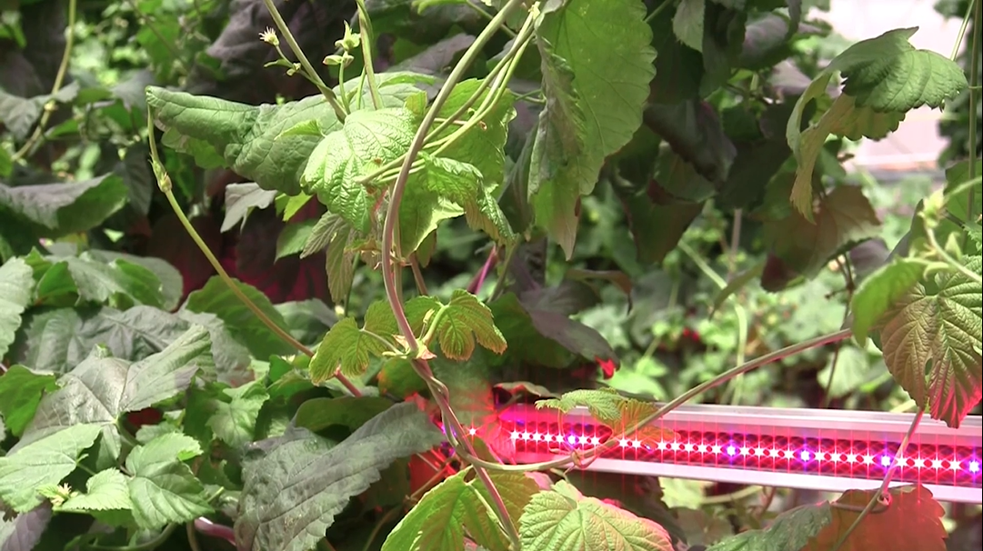 The New Horticulture Center at Colorado State University