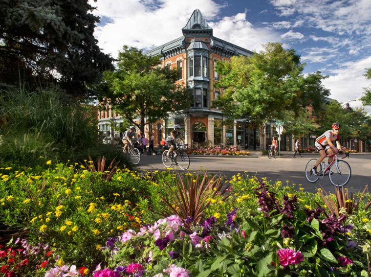 How to be more sustainable in Fort Collins