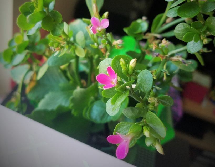 What your sustainable life could (and should) look like