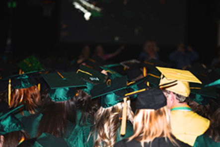 Life after graduation