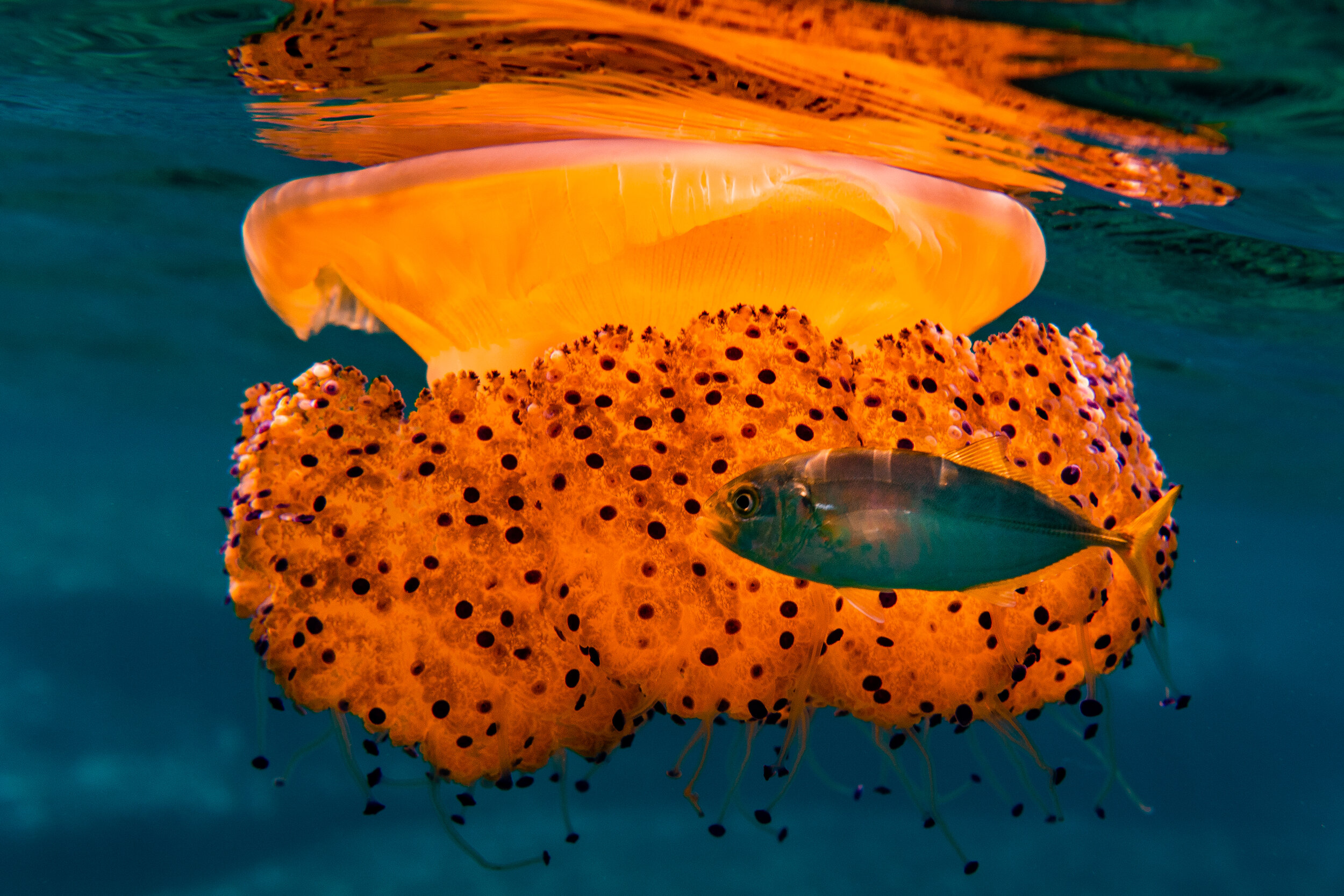 Beneath The Surface