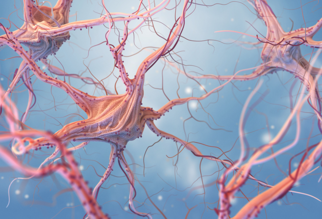 Screen Shot 2021-04-04 at 1.03.40 AM.png