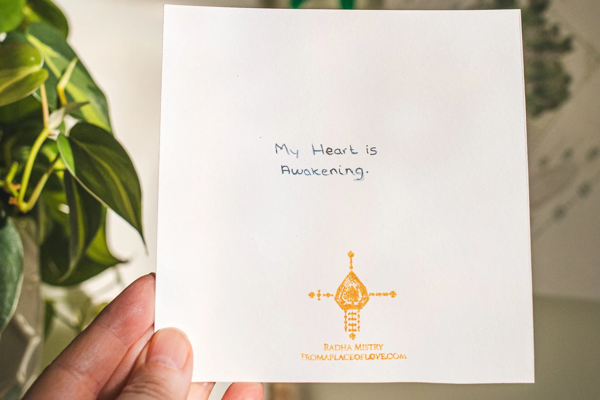 radhaMistry-myHeartIsAwakening-5x5-0011.jpeg