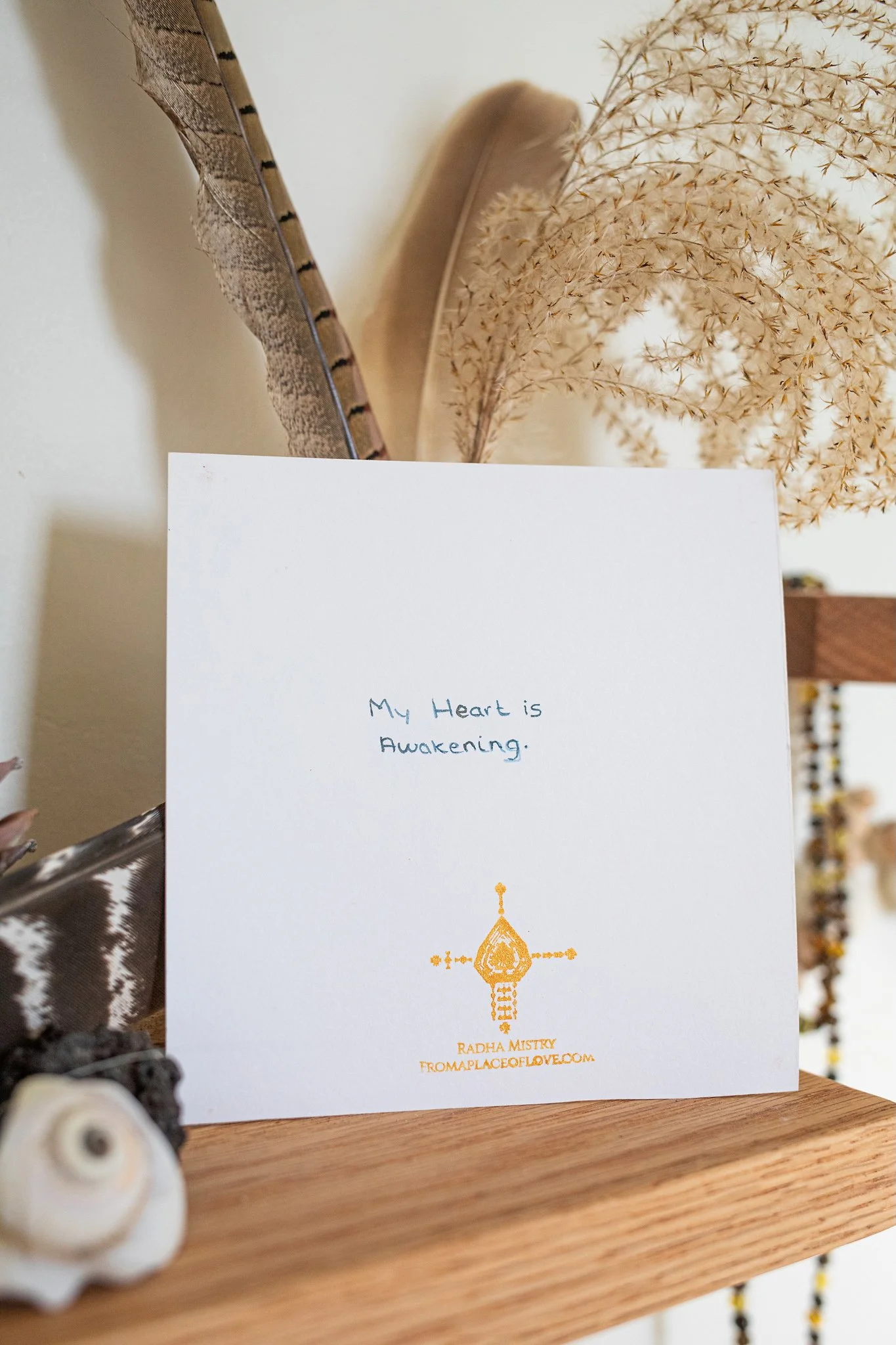 radhaMistry-myHeartIsAwakening-5x5-0026-web.jpeg