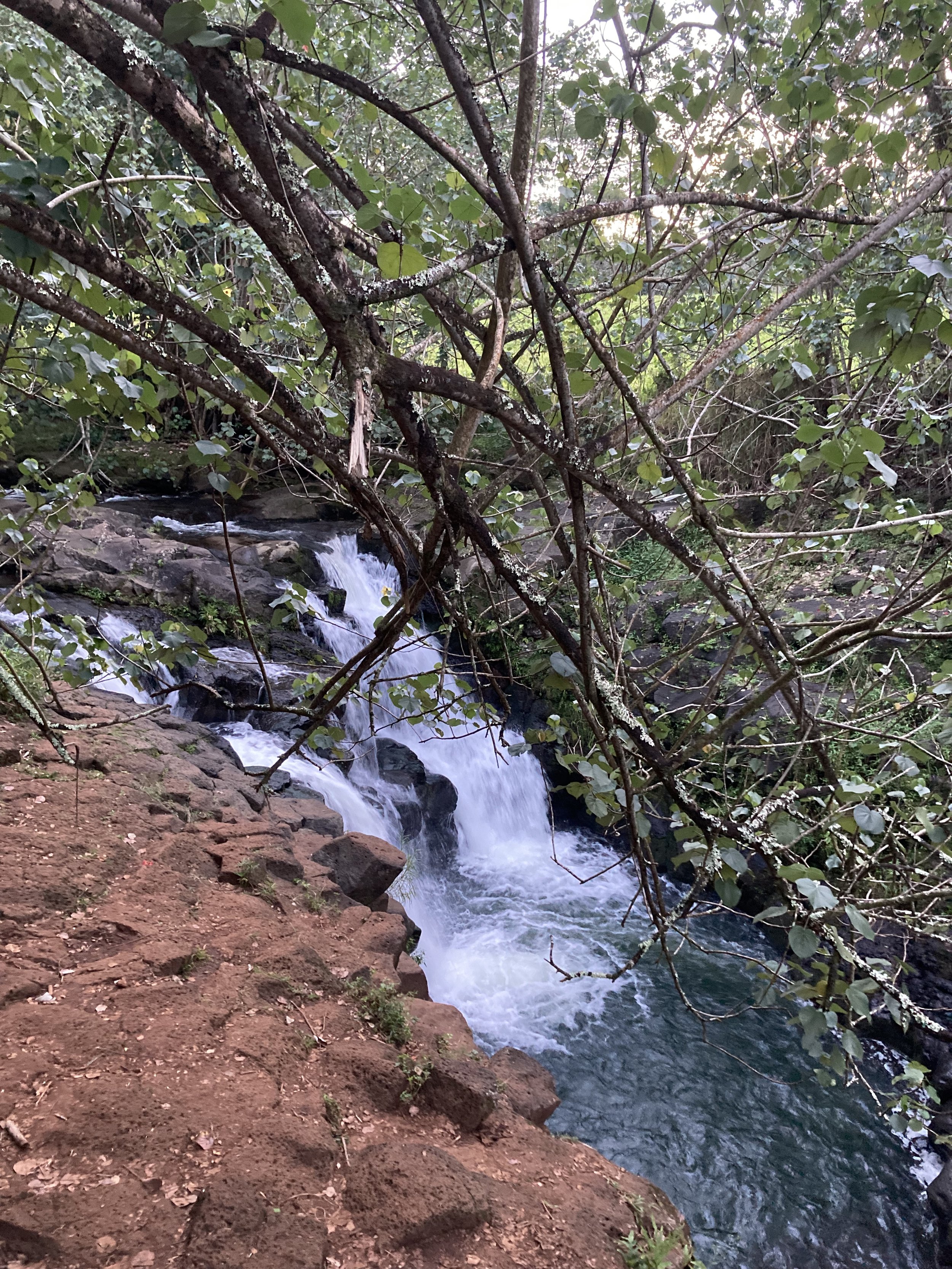 Lokahi 13.jpg