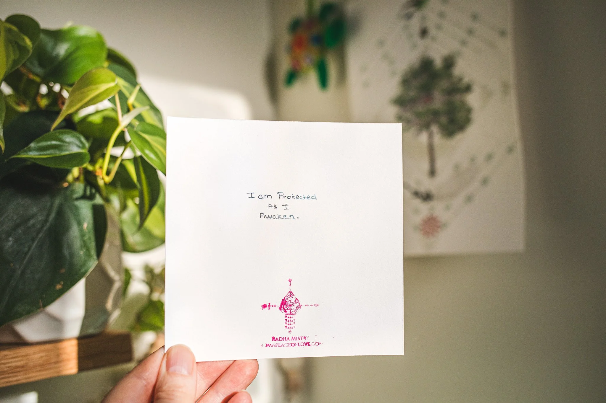 radhaMistry-Awakening-Protection-5x5-0015 (1).jpeg