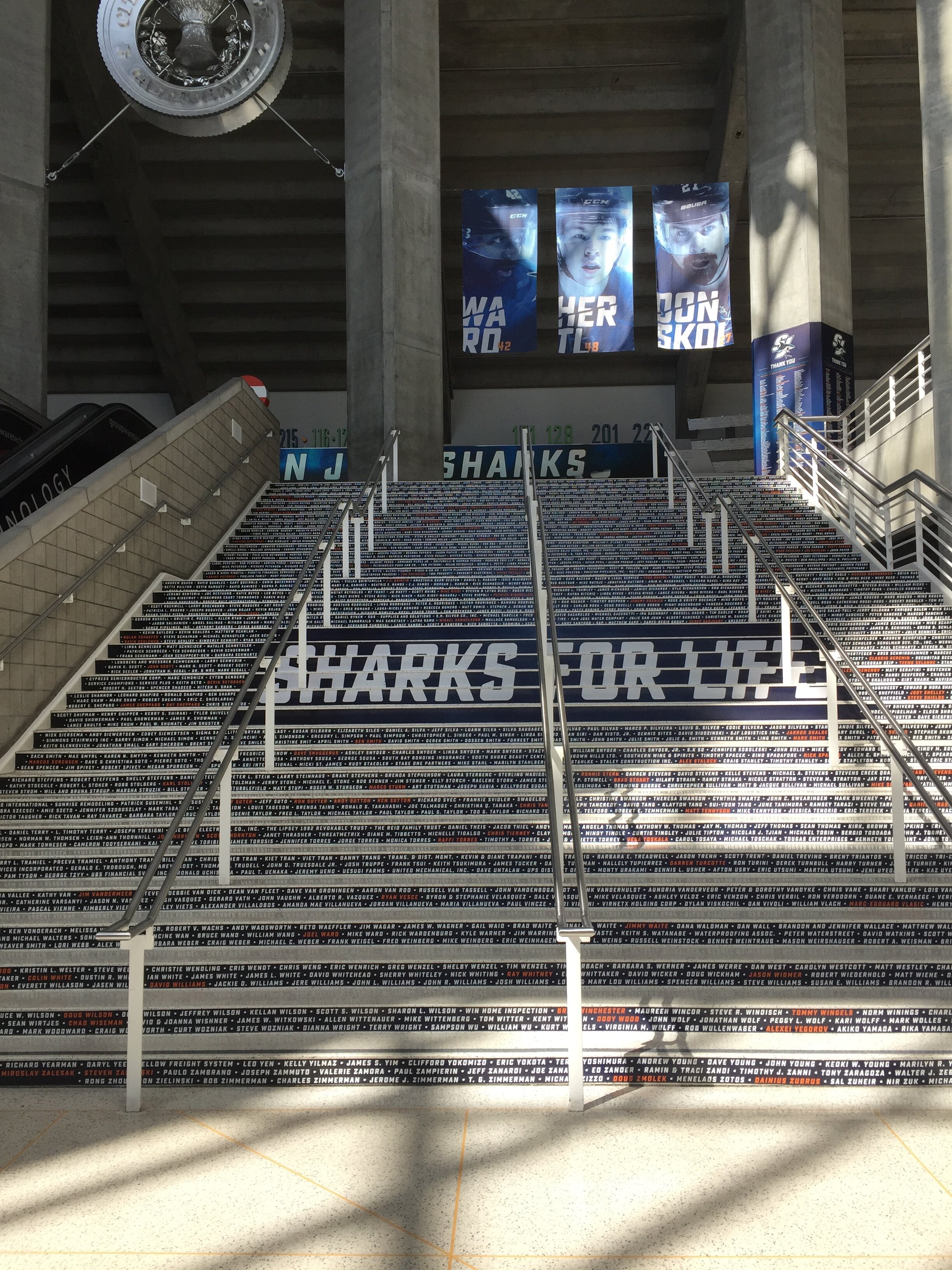 When you enter the Shark Tank, every player to ever wear the teal and black is inscribed on the stairs along with every season ticket holder. (Division of Labor is 20 stairs up on the far left.)