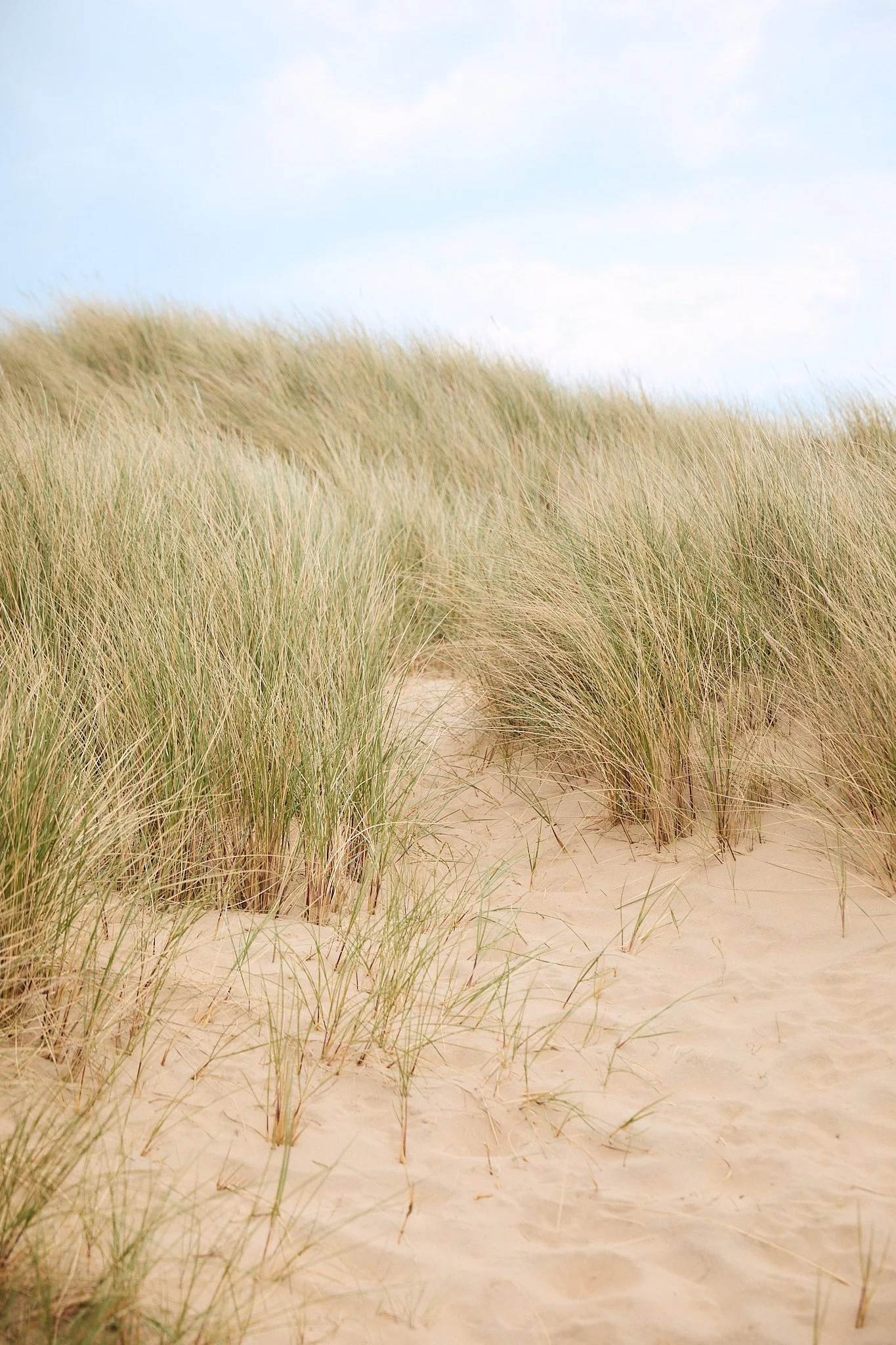 DUNES_Lay&Wheeler_Summer2026_0903.jpg