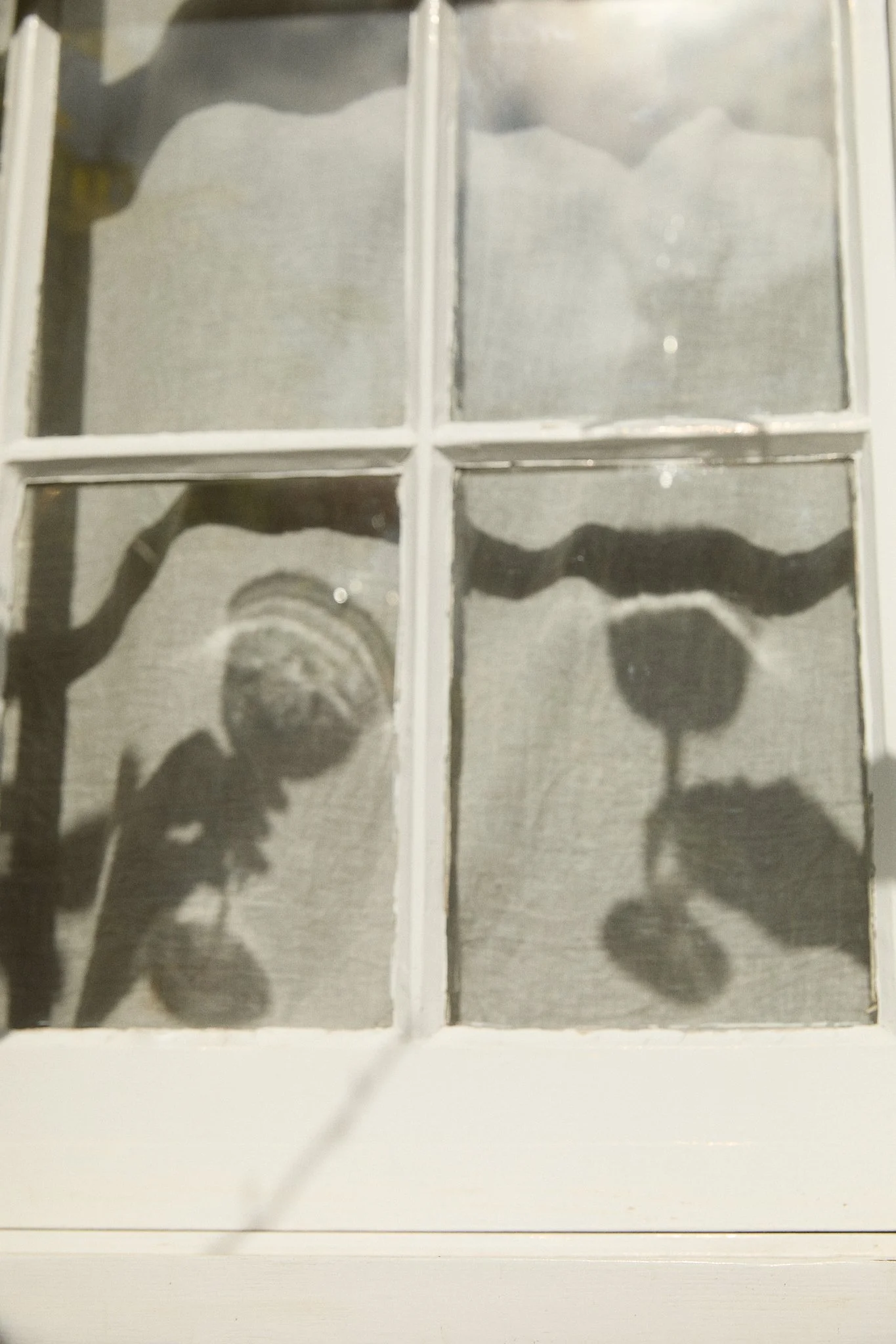 COTTAGE_Lay&Wheeler_Summer2026_1943.jpg