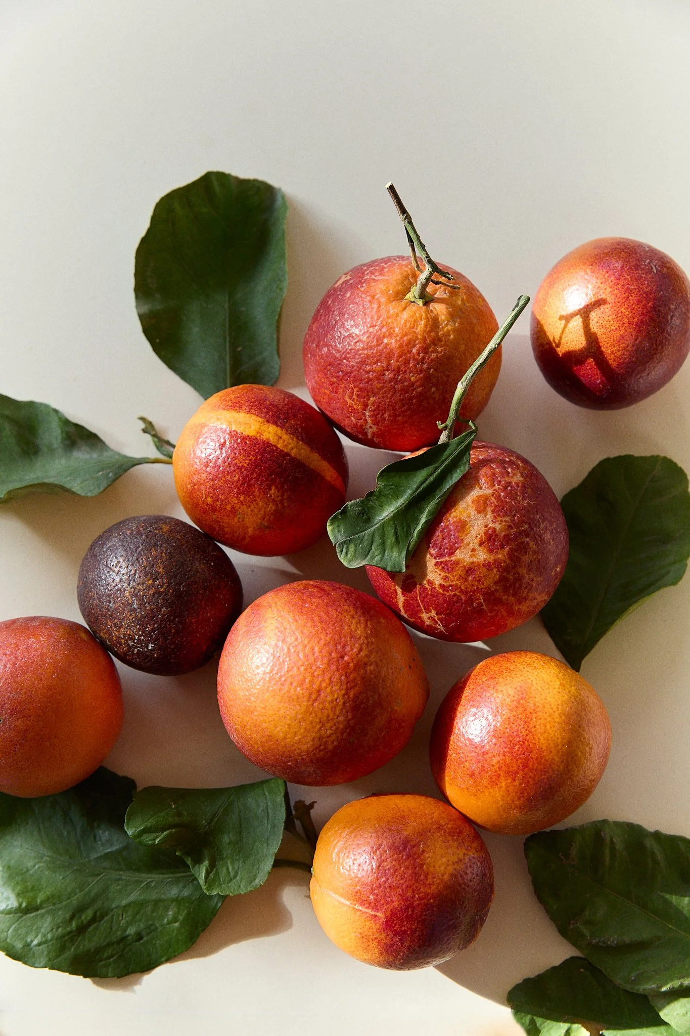 Bramley Editions_0643.jpg