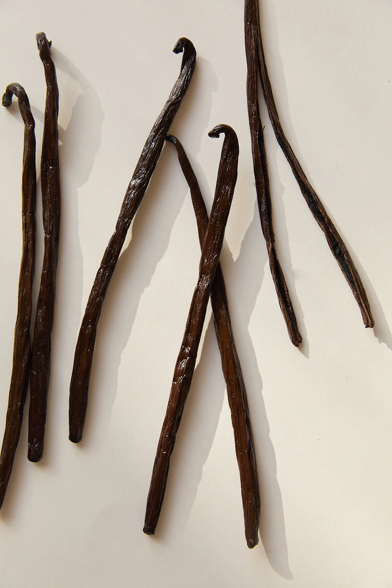 Bramley Editions_0774.jpg