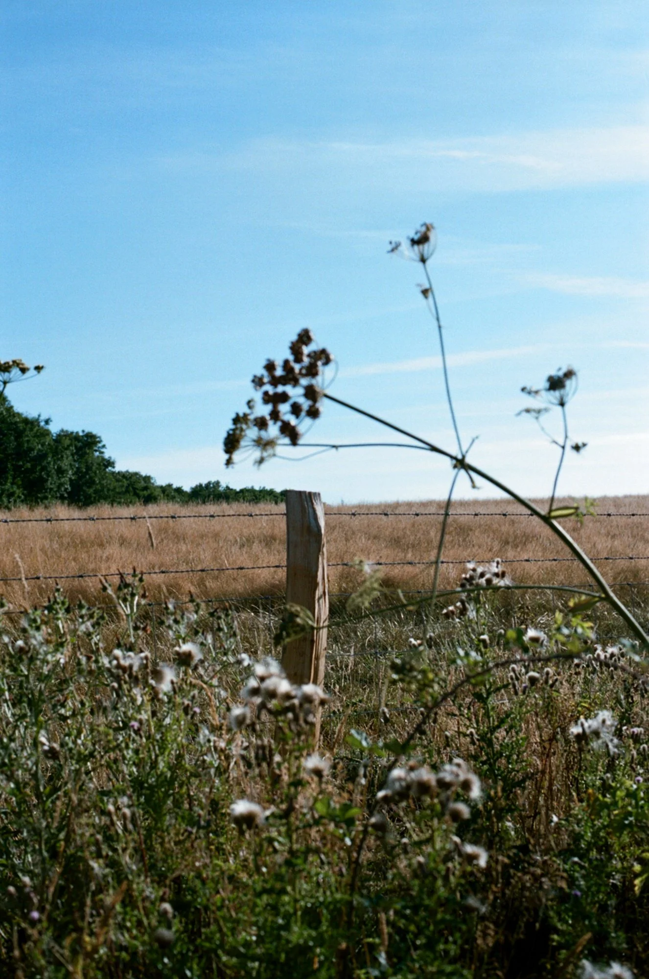 70040038.jpg