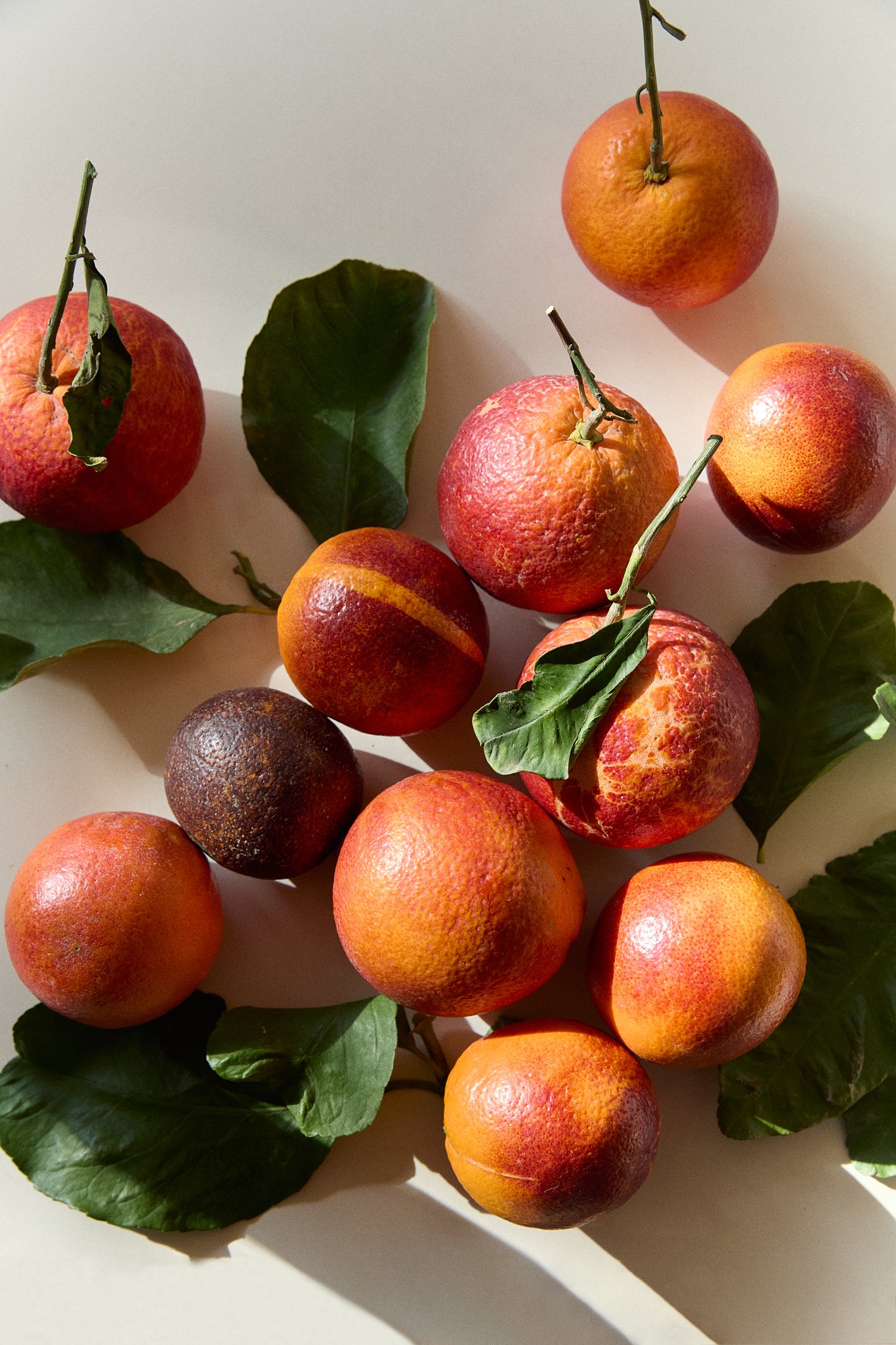 Bramley Editions_0653 1.jpg