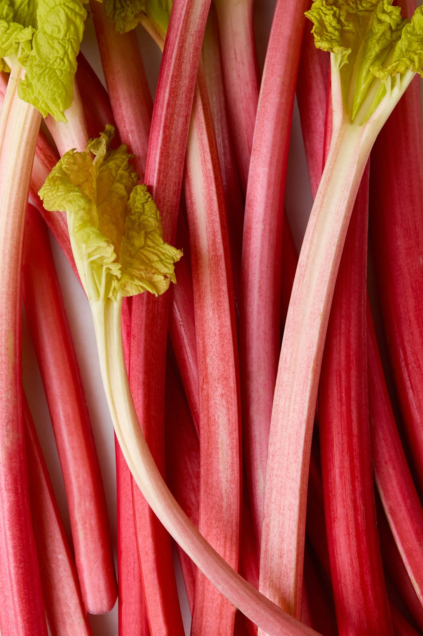 Bramley Editions_0055.jpg