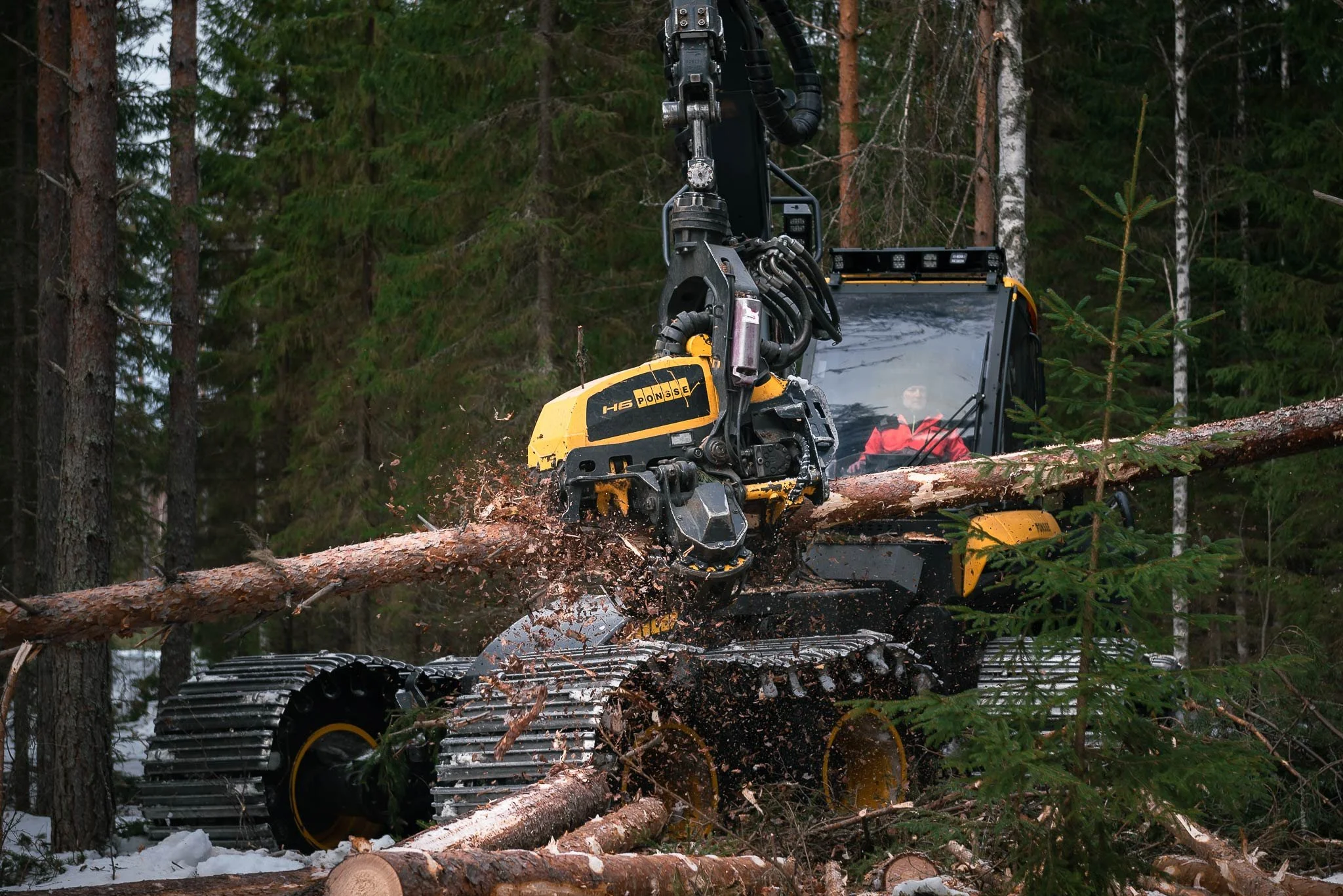 Metsäkone karsii kaadettua männynrunkoa.