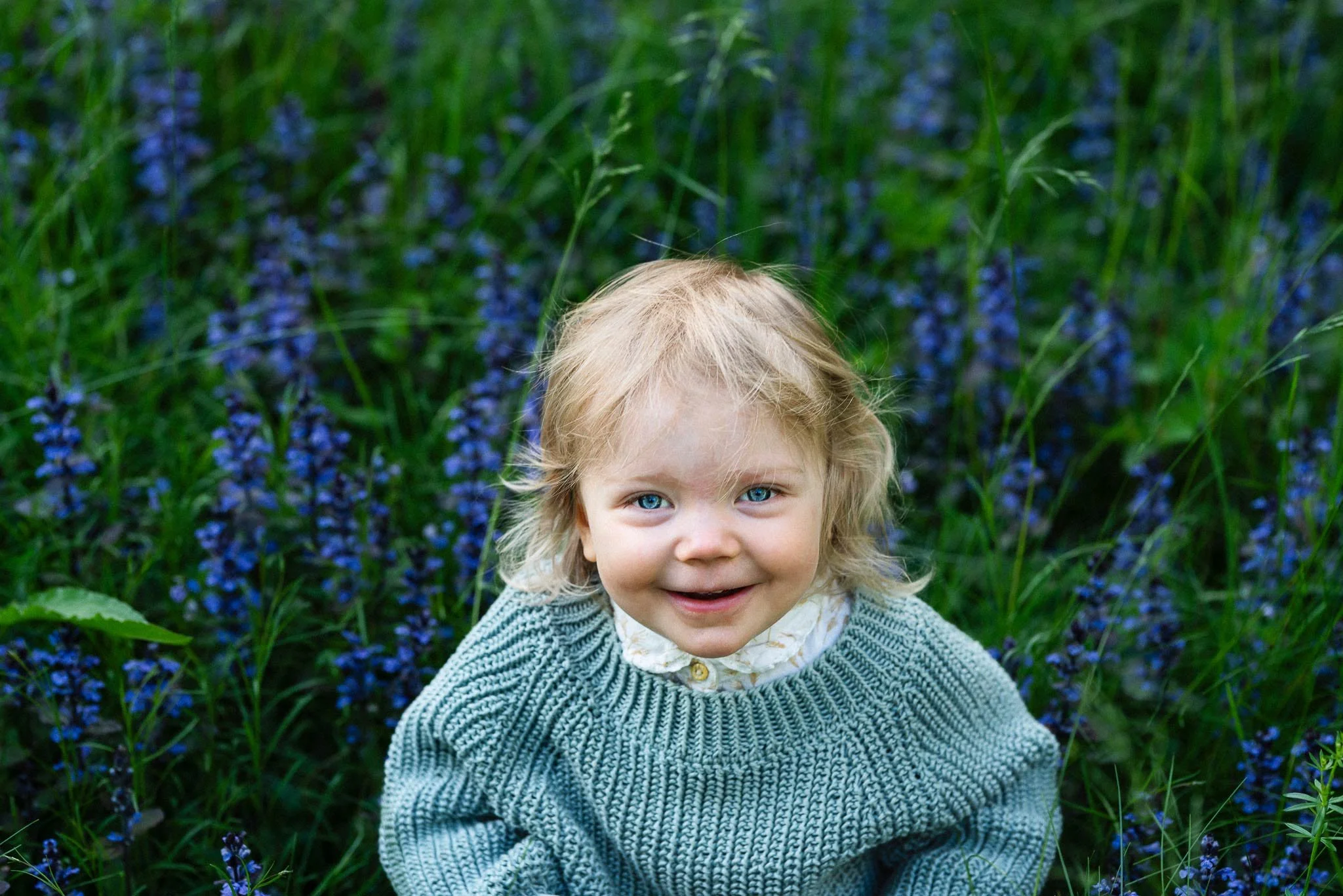 Vaaleatukkainen hymyilevä lapsi istuu kirkkaansinisten kukkien täyttämällä niityllä ja katsoo kameraan.