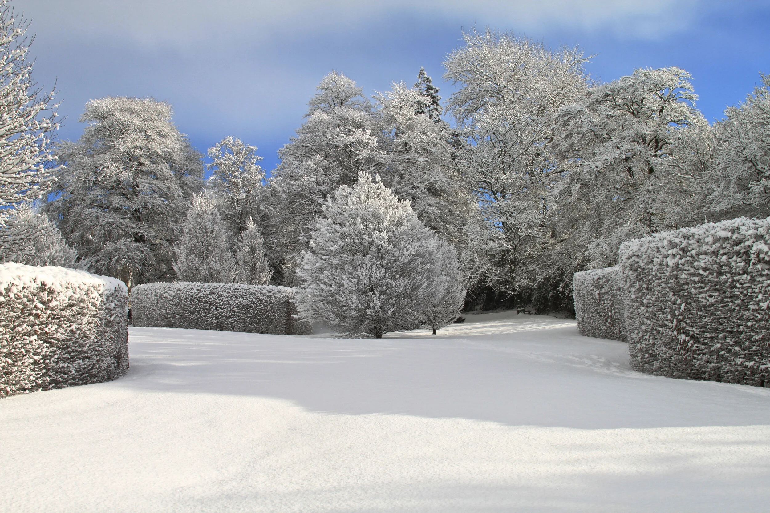 Snowfall in Epidauros, Plaz Metaxu, Devon