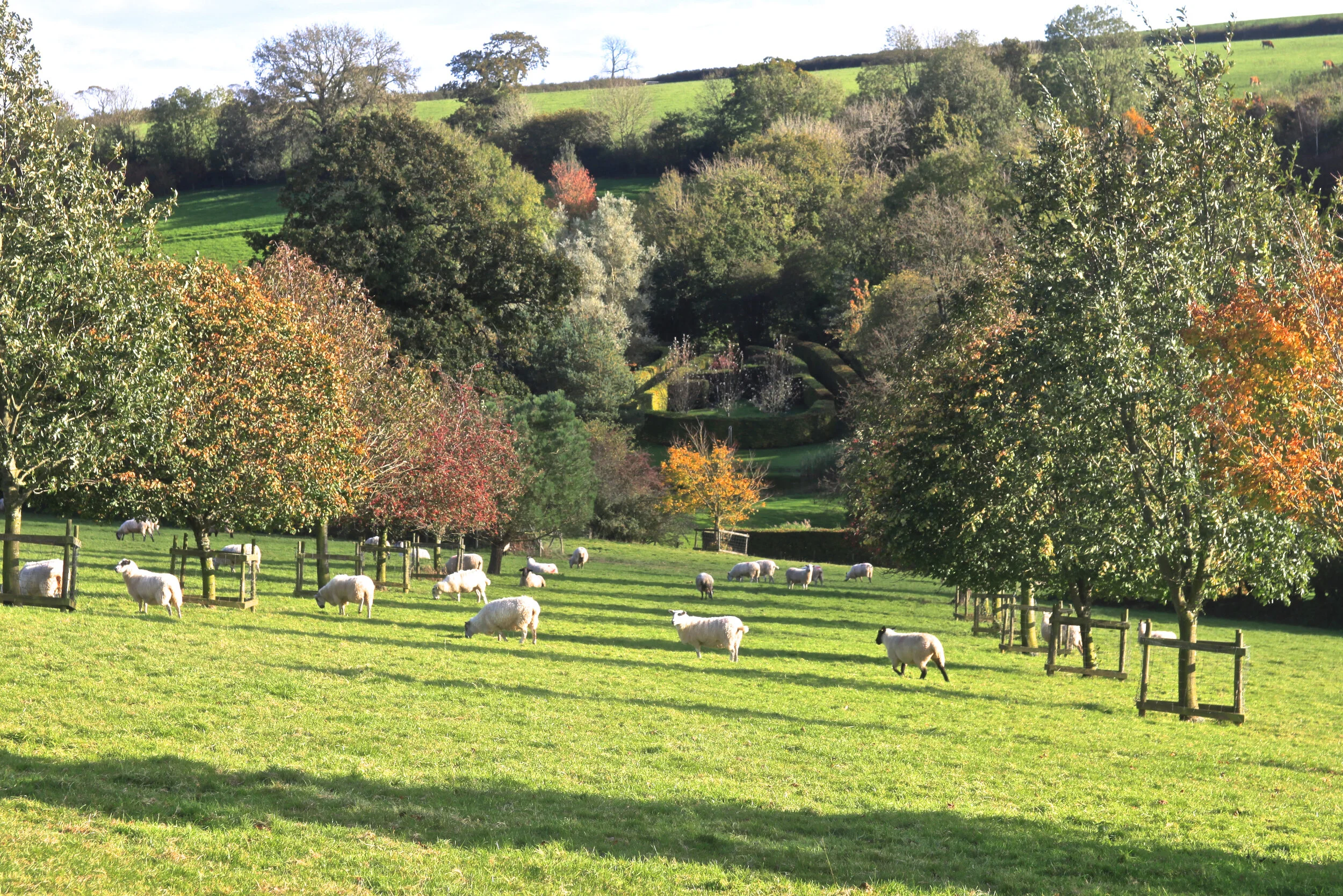 View of Plaz Metaxu, down onto the Eleusis enclosure from the Avenue of the Hours in Themis