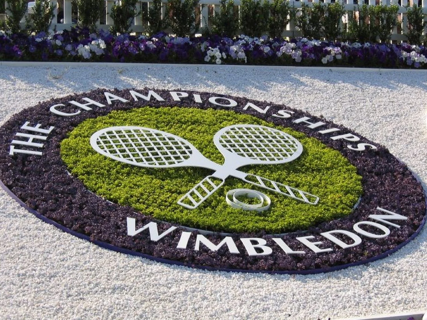 Wimbledon Public Ballot