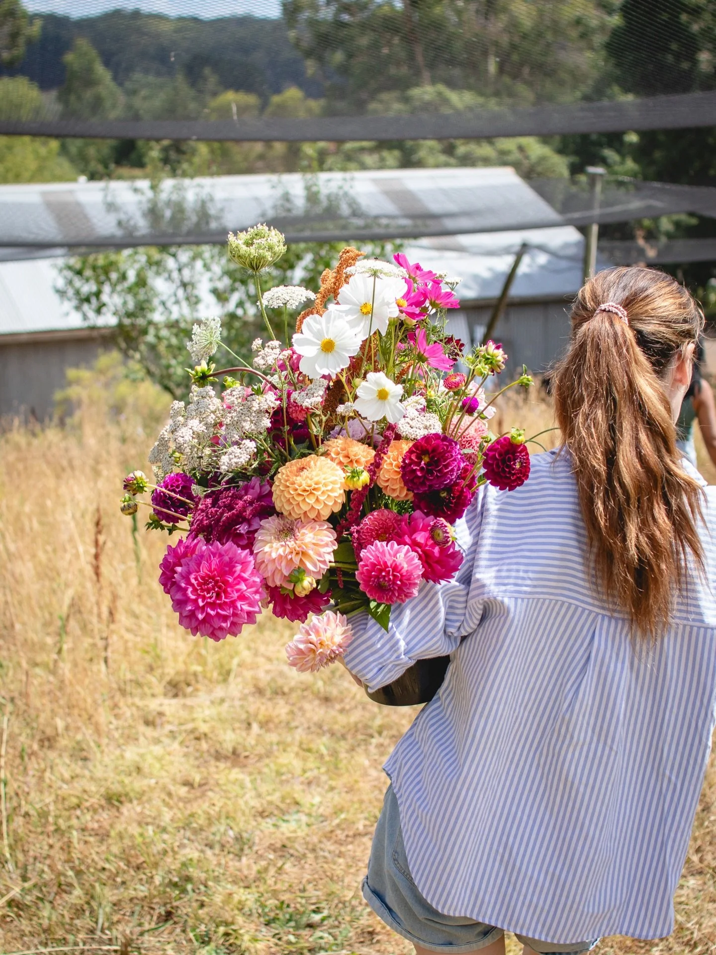 Our first Pick Your Own Flowers for the season 🌸✨

It&rsquo;s always a joy welcoming others into the patch and seeing their buckets overflow with the beautiful flowers they&rsquo;ve chosen to take home!

I&rsquo;ve just added some You Pick dates for