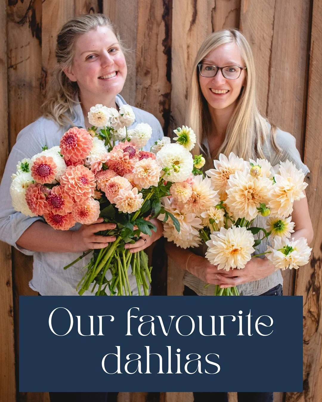 Our favourite dahlia tubers are online now!
We are once again excited to share our dahlias with you! Our favourites are prolific bloomers, have sturdy stems and of course are just beautiful! 😍

 Can you choose a favourite?!

Tubers will be shipped t