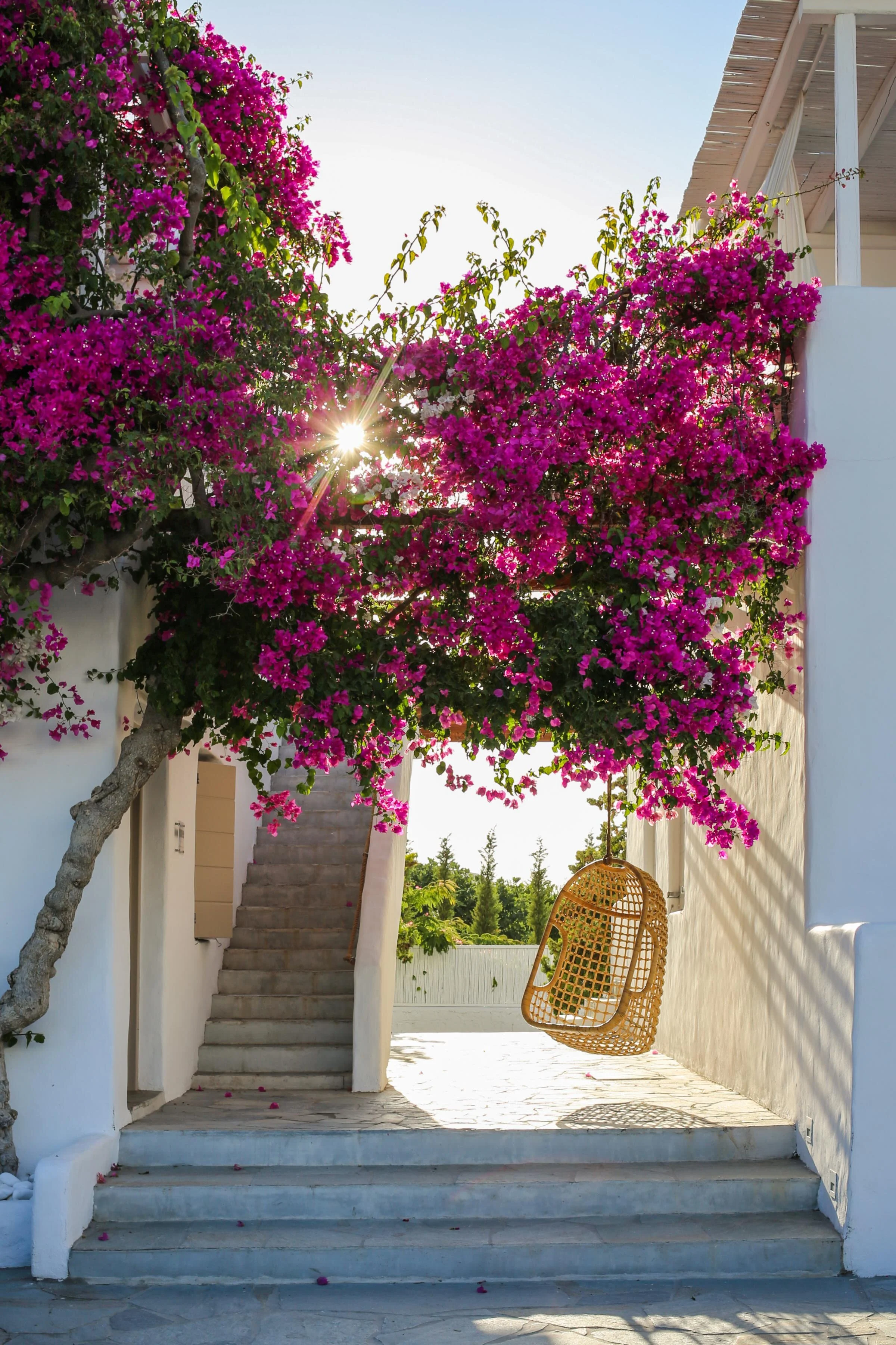 Callen Jefferson Greece (Copy)