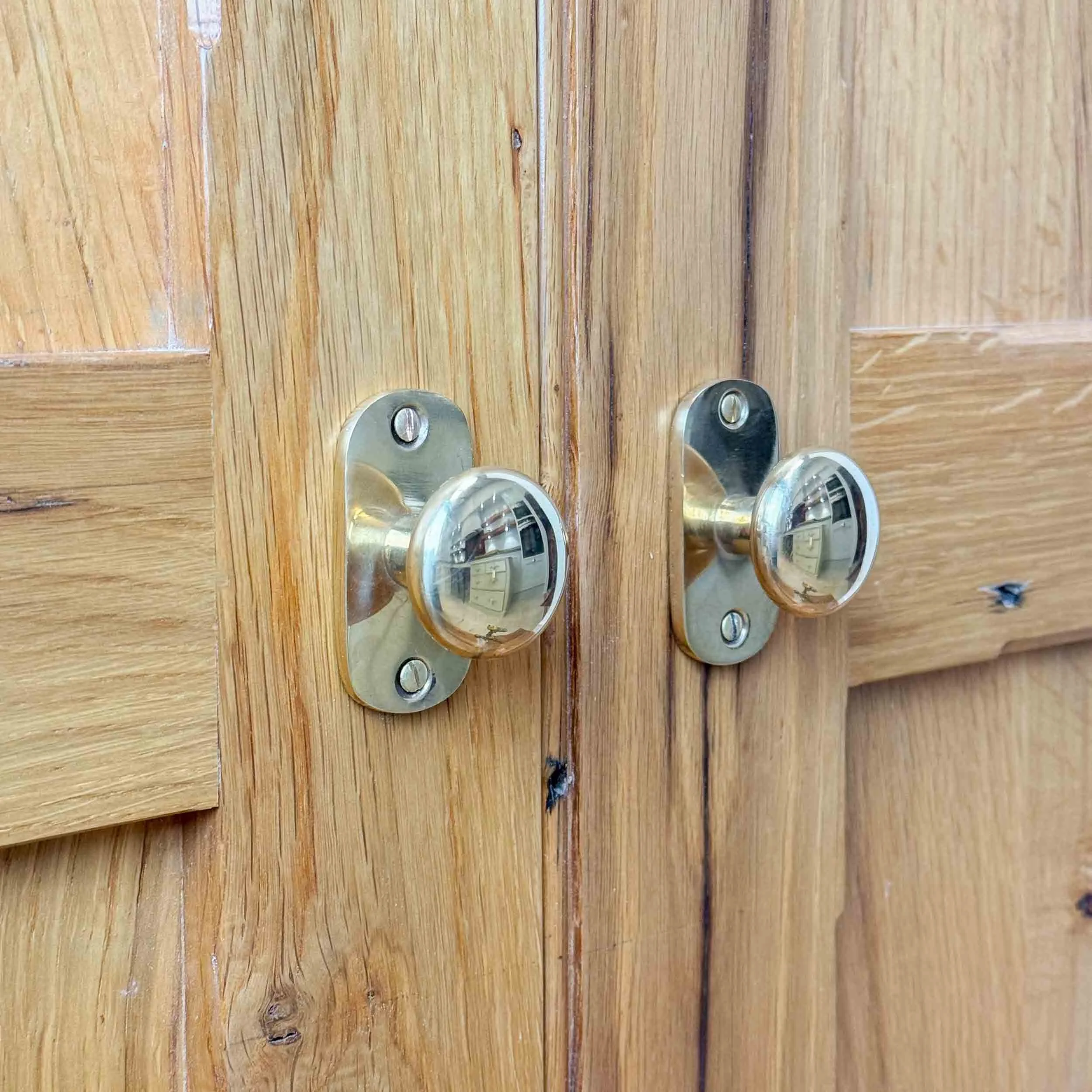 'Dovedale' Solid Brass Handle with Oval Backplate
