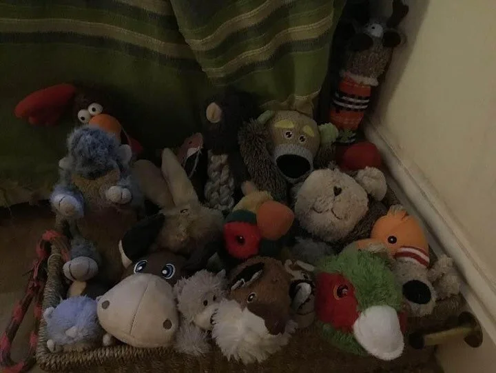 It&rsquo;s quite a roll call: ballsy chicken, ropy flamingo, ropy Mole, Bill, Rudy, squizzy squirrel, crunchy bun, fuzzy fez, wonky Donk, kong, bear kong, cheesy grin, floppy fez, ballsy giraffe, funky fox skins, little bear, moooooose, rodders rat a