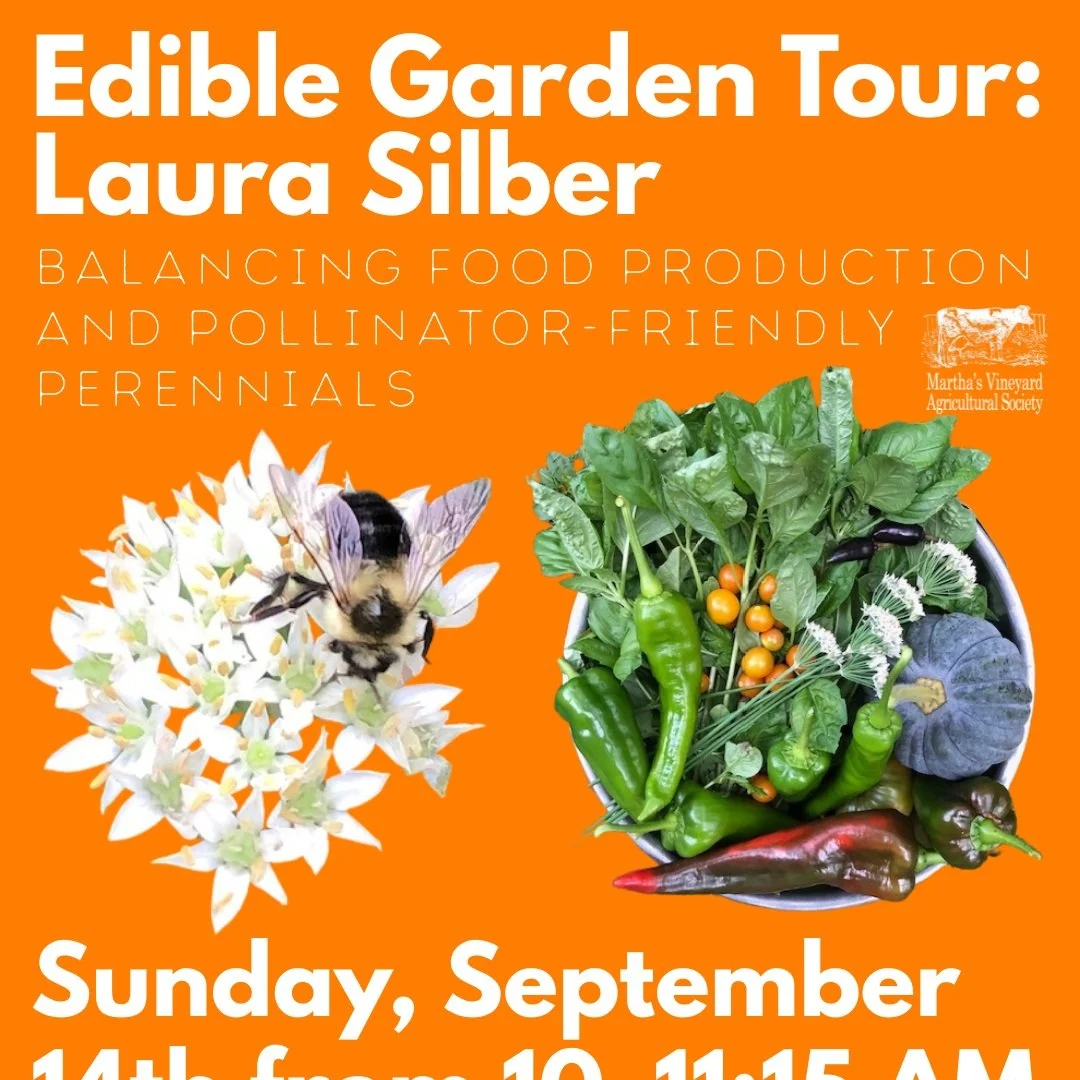 Garden Tour with Laura Silber