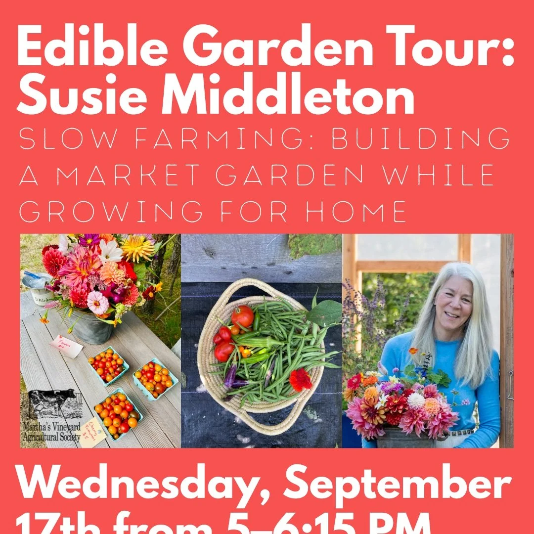 Garden Tour with Susie Middleton