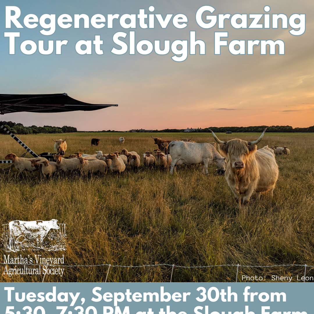 Regenerative Grazing Tour at Slough Farm