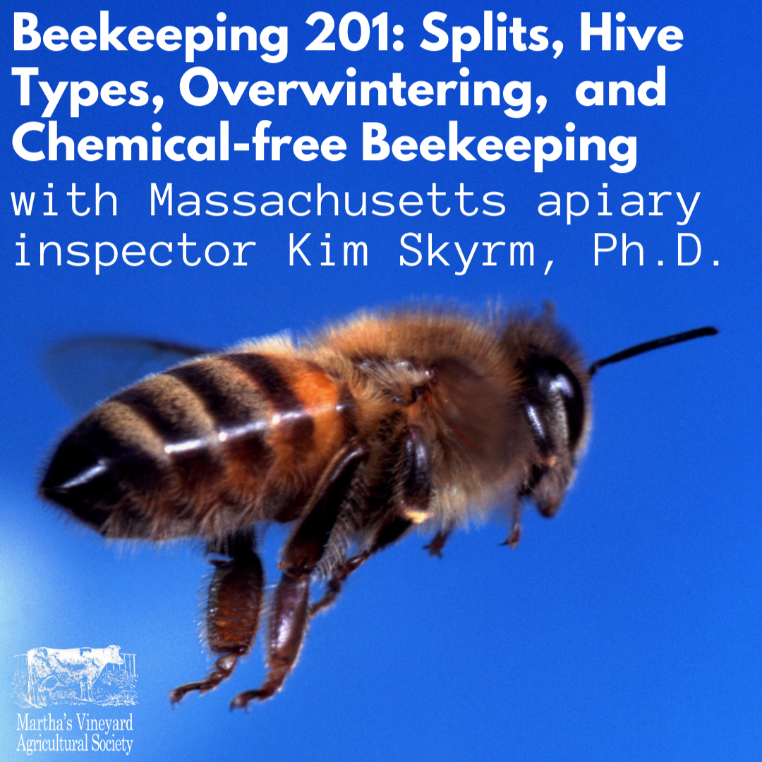 Beekeeping 201: Splits, Hive Types, Overwintering, and Chemical-free Beekeeping with Massachusetts Apiary Inspector Kim Skyrm, Ph.D.
