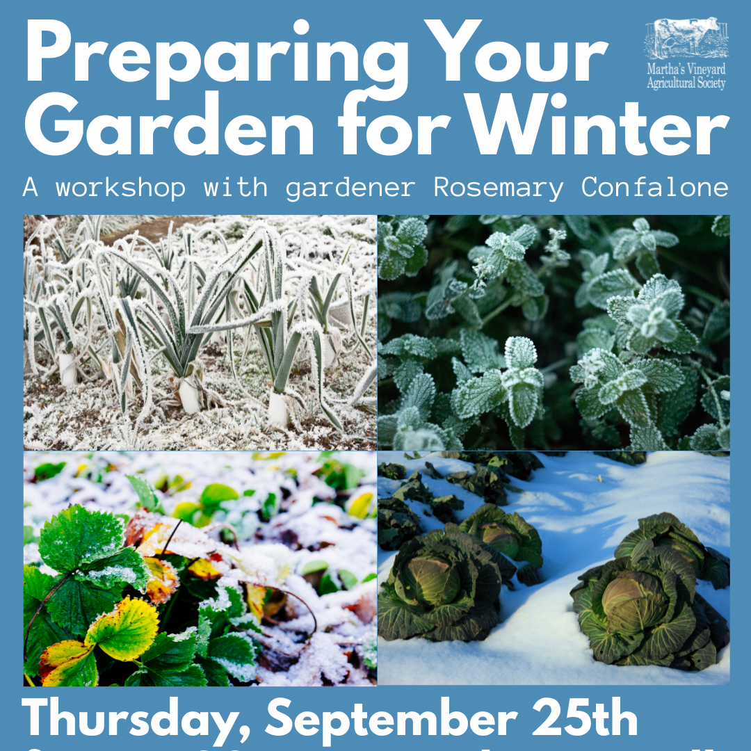 Preparing Your Garden for Winter with Rosemary Confalone