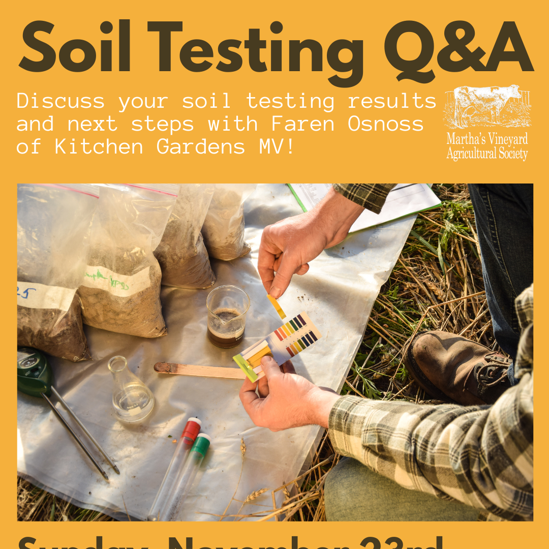 Soil Testing Q&A