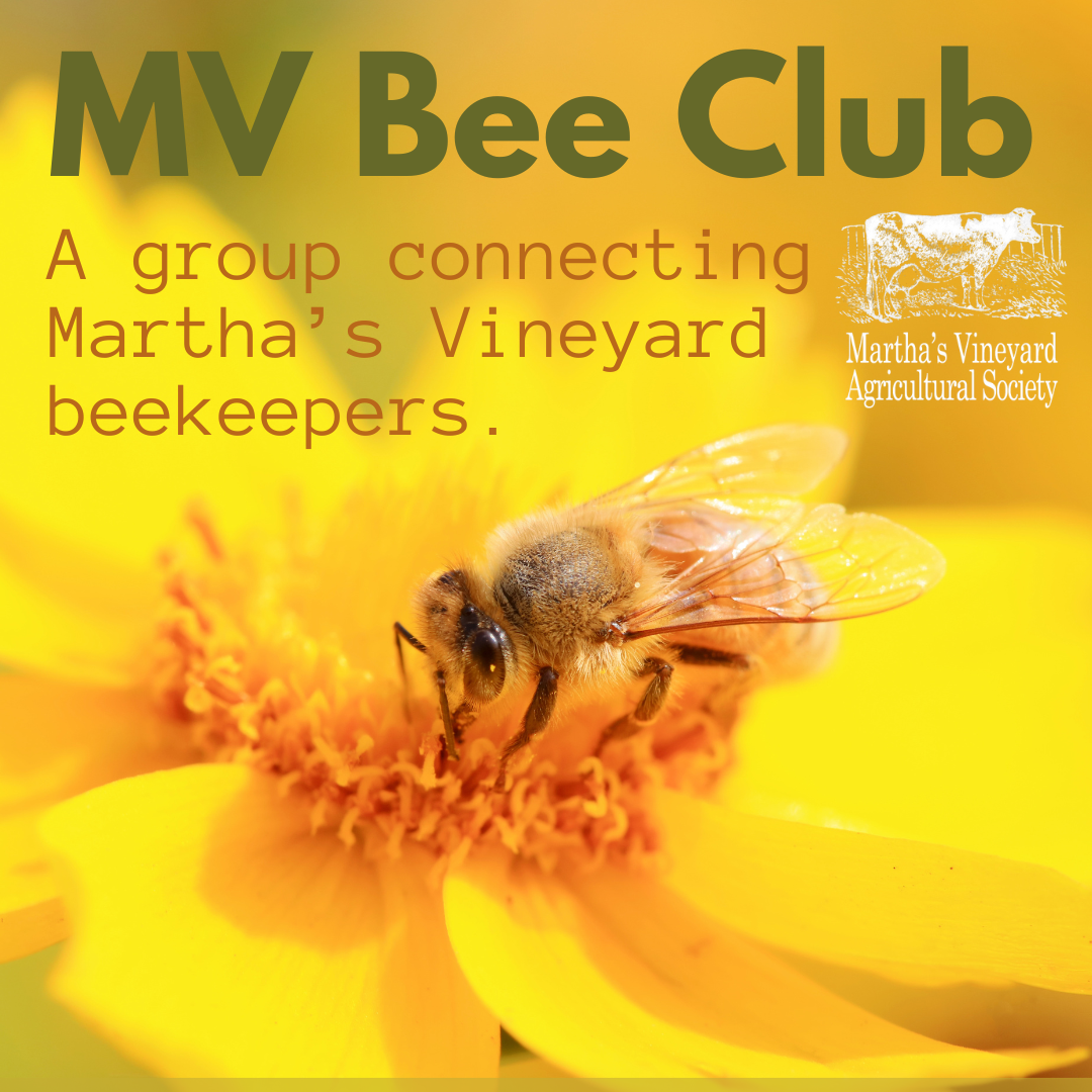 MV Beekeeping Club