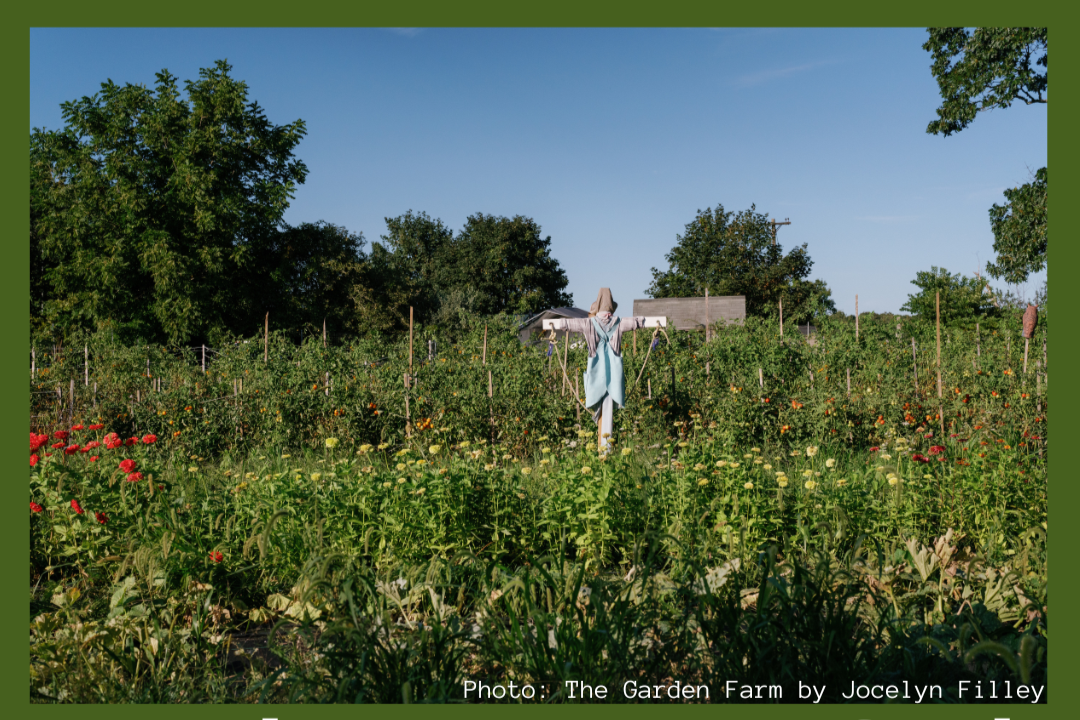 Leasing Land for Farming: From Agricultural Leases to Secure Tenure with Dee Levanti of Land for Good