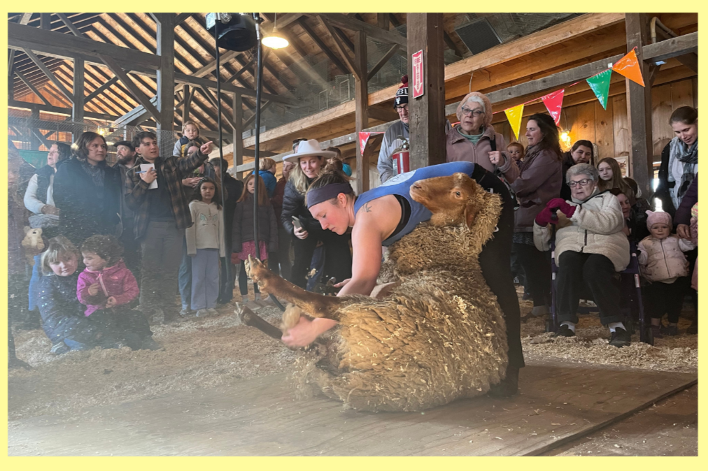 Sheap-Shearing Shindig